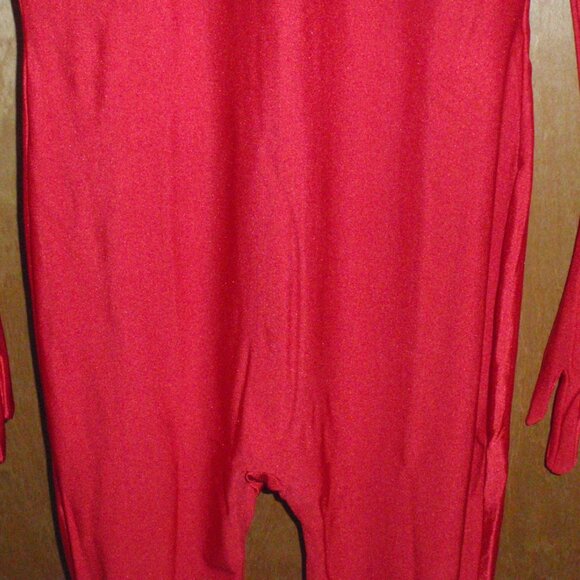 2nd Skin Devil Red FULL BODYSUIT ZENTAI Gimp Costume Great for Halloween - NEW! - Picture 4 of 8